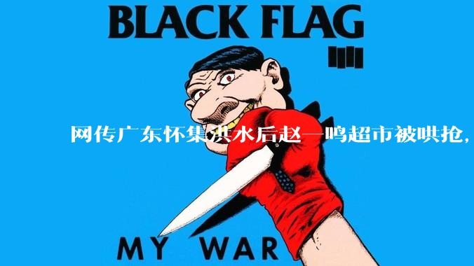 网传广东怀集洪水后赵一鸣超市被哄抢，县***回应相关单位正在核实，若属实哄抢者该承担哪些法律责任？