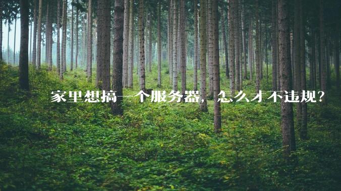家里想搞一个服务器，怎么才不违规？