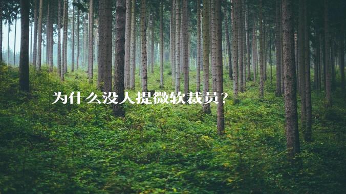 为什么没人提微软裁员？