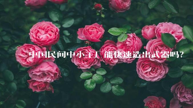 中国民间中小工厂能快速造出武器吗？