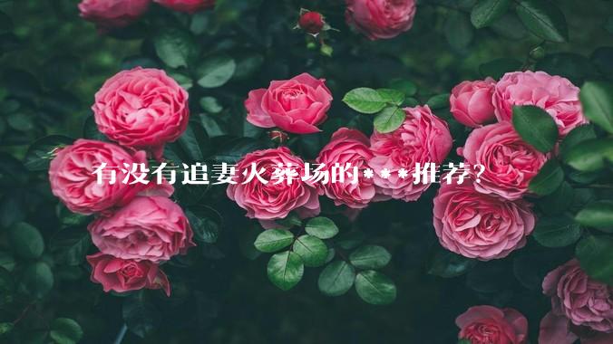 有没有追妻火葬场的***推荐？