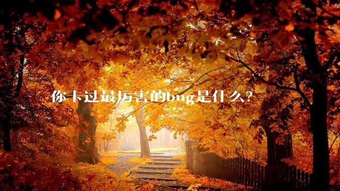 你卡过最厉害的bug是什么？